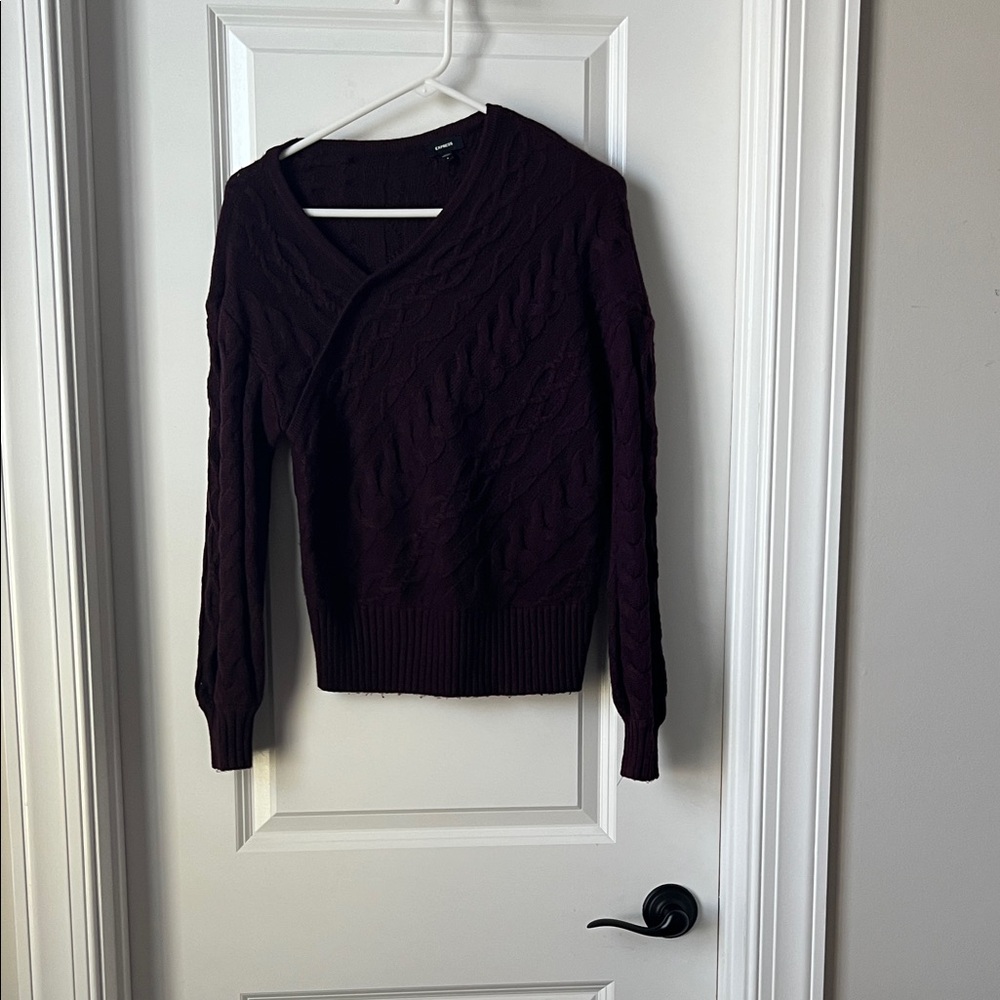 Express Women's Deep Purple V-Neck Sweater